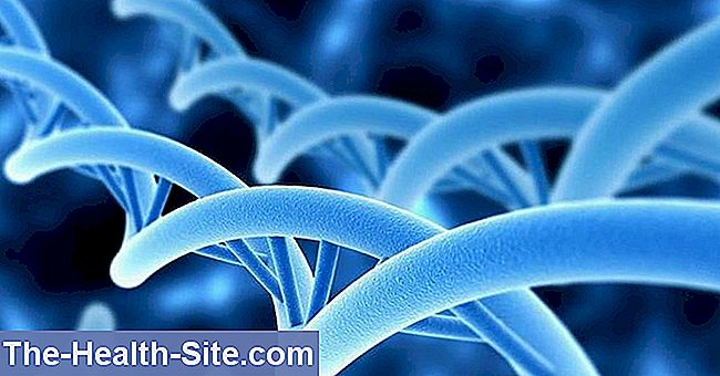 Kromosomfejl (defekter i det genetiske materiale)
