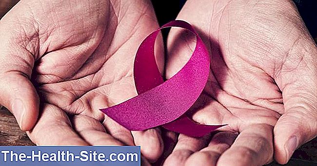 Bröstcancer - hjälp, adresser, kontaktpunkter