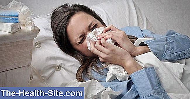 Gripe porcina: síntomas
