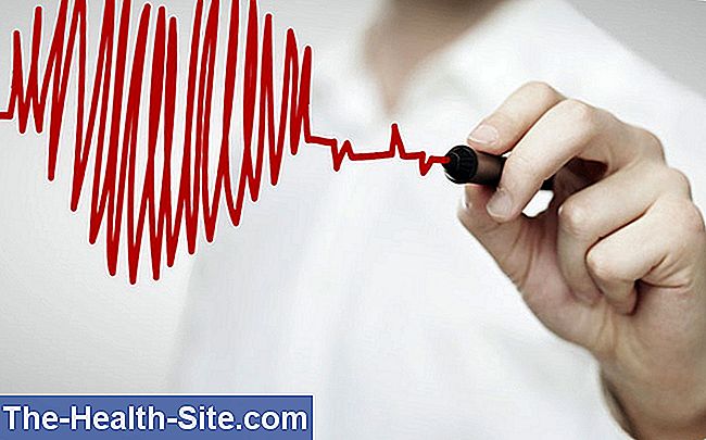 la frecuencia cardíaca