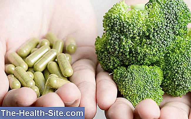 suplementos vitamínicos Broccoli