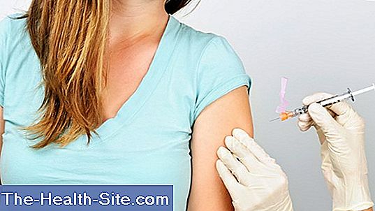 Tbe vaccination