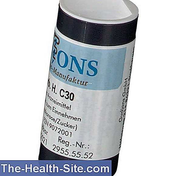 Calcium carbonicum
