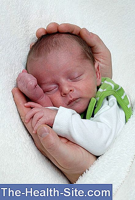 34th Week Of Pregnancy This Is In The 34th Ssw Scientific Practical Medical Journal 21 34th Week Of Pregnancy This Is In The 34th Ssw Scientific Practical Medical Journal 21