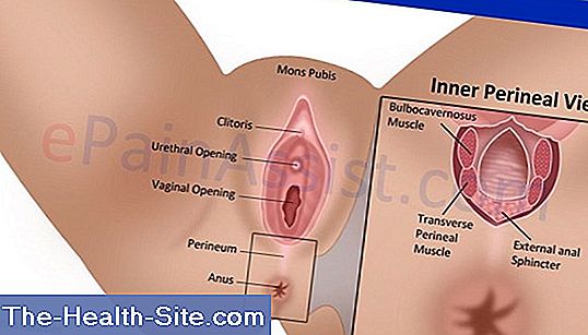 Tear near the clitoris photos 819