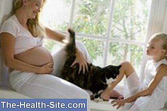 Toxoplasmosis - pregnancy