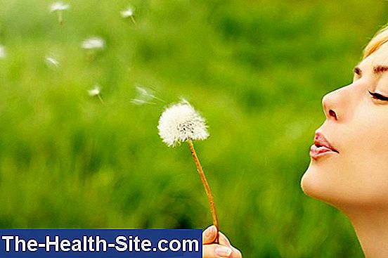 Hay fever: nose filter as pollen defense