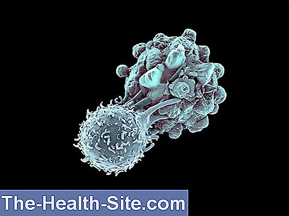 How myrtle fights cancer cells