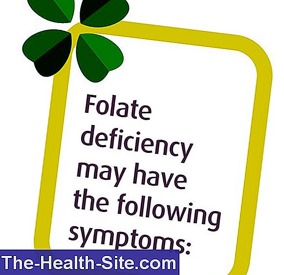 Folic Acid Deficiency Symptoms And Treatment 💊 Scientific Practical