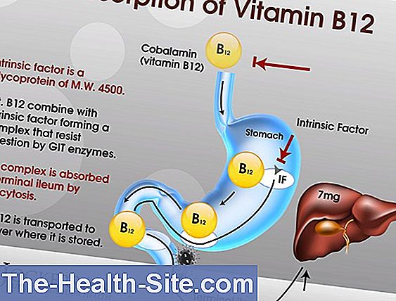 Vitamin B12 Deficiency: Signs, Consequences 💊 Scientific-Practical ...