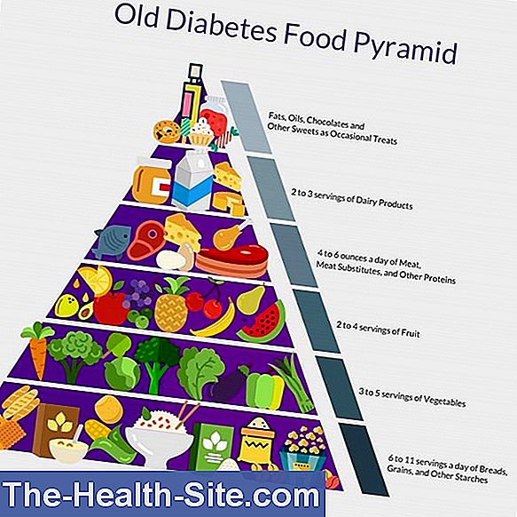 Food Pyramid That'S How Healthy Eating Is 💊 ScientificPractical