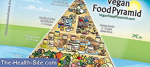 Vegan food pyramid