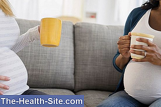 Coffee In Pregnancy: So Much Is Allowed 💊 Scientific-Practical Medical ...