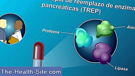 Enzimas pancreáticas