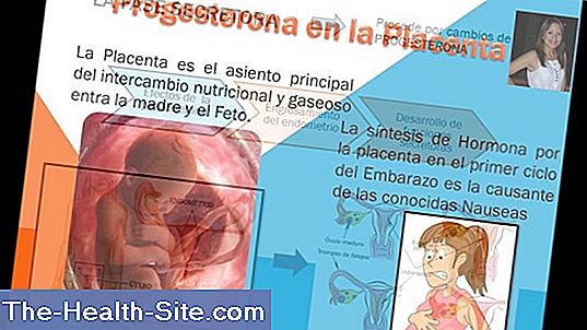 Progesterona: Efectos, Indicaciones, Efectos Secundarios 💊 Científico ...