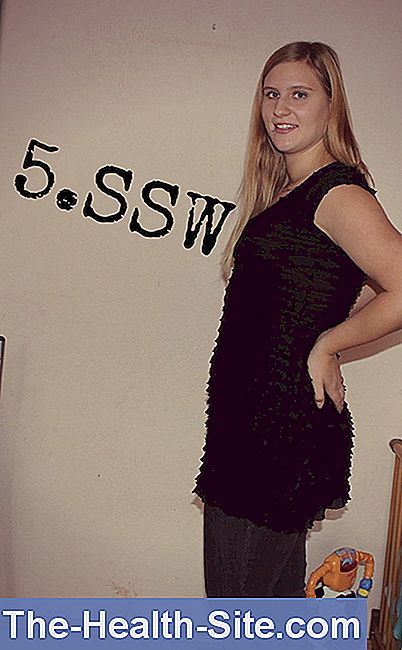 Ssw 5