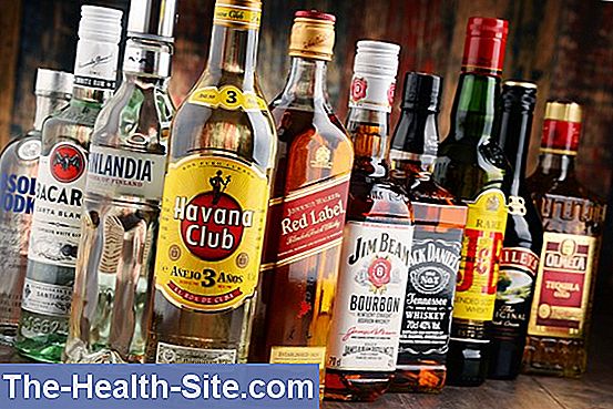 Liquor Cerebrospinalis: Samenstelling & Functie 💊 Wetenschappelijk ...