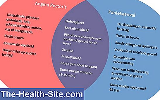 Angina pectoris - symptomer