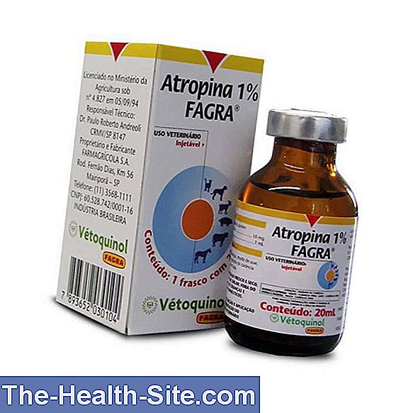 Atropina: Efeitos, Usos, Efeitos Colaterais 💊 Científico-Prática ...