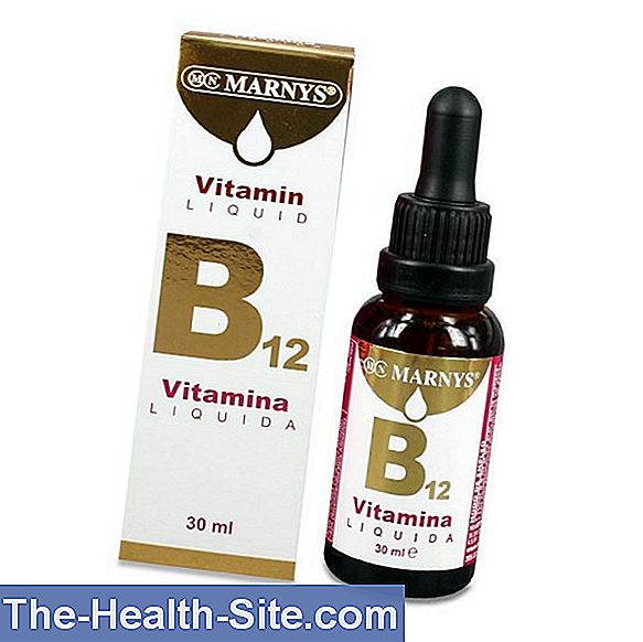 Anemia prin deficit de vitamina B12