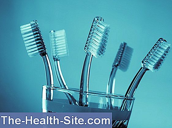Tandborstar - ett paradis för bakterier