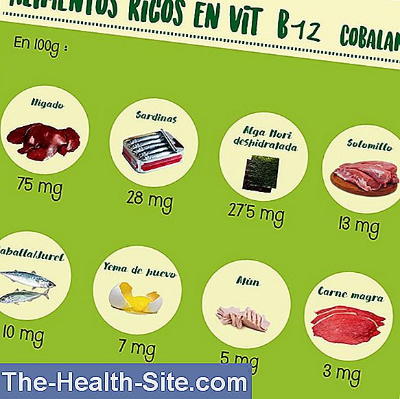 La Deficiencia De Vitamina B 💊 Científico-Práctico Medical Journal - 2024