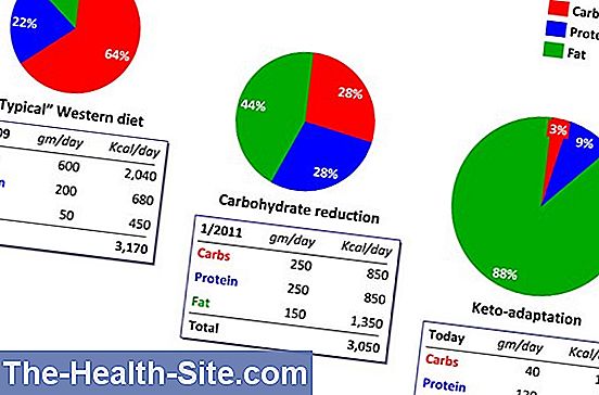 Calorie chart productos lácteos