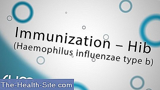 Haemophilus influenzae type b