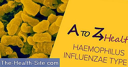 Haemophilus influenzae tip b