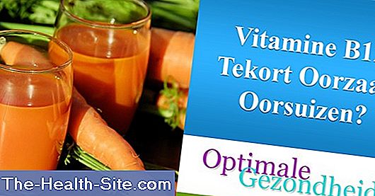 Vitamine B12-Tekort 💊 Wetenschappelijk-Praktische Medical Journal - 2024