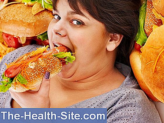 binge mănâncă pierderea în greutate de la arde gras